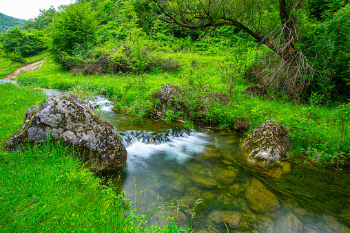 beautiful mountain stream in the Karkonosze mountains
