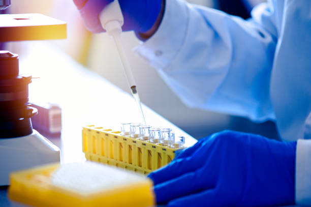 istock Single-channel dispenser with variable volume. Medical worker, scientist, laboratory assistant in rubber gloves works in the laboratory 1260535412