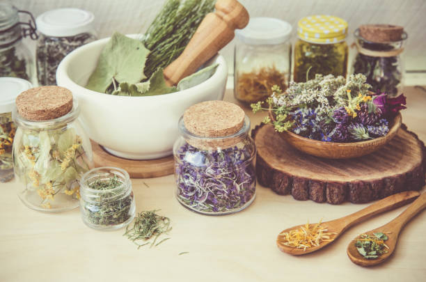 beaucoup de différentes plantes sèches remède à base de plantes ( chamaenerion angustifolium, achillea millefolium, tilia platyphyllos, prunella vulgaris, equisetum arvense dans des conteneurs filtre de style vintage. - mortar and pestle wood healthcare and medicine jar photos et images de collection