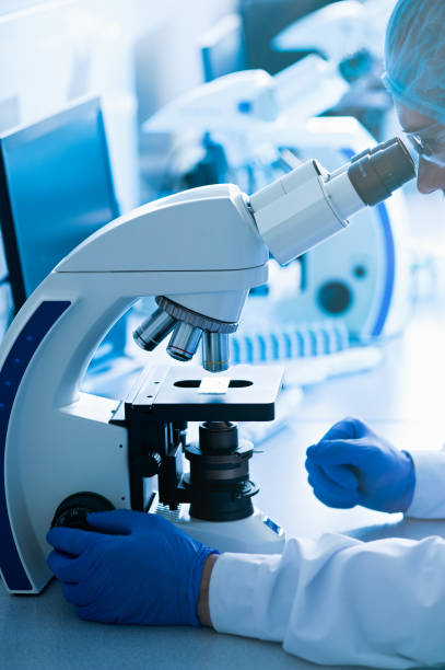 istock Cytological and morphological examination in the laboratory 1260536653