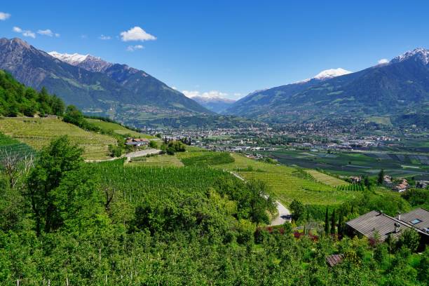 istock Merano and valley from above, mountains 1260545115