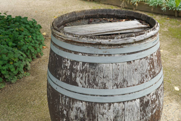 istock An old wine barrel in a vineyard 1260546981