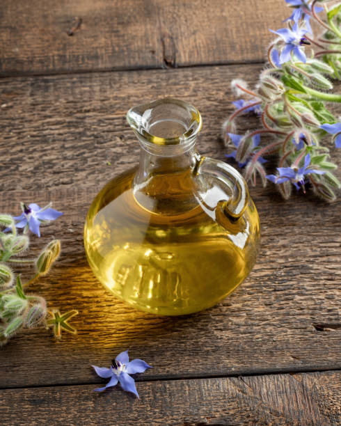 istock Borage plant and oil on a table 1260548066