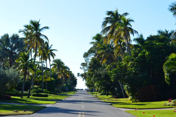 istock Street in Naples Florida 1260567094