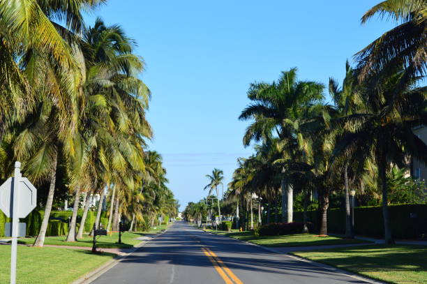 istock Street in Naples Florida 1260567712