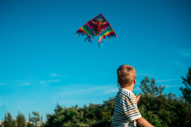 istock little boy launches a kite in the park. flying kite 1260584527