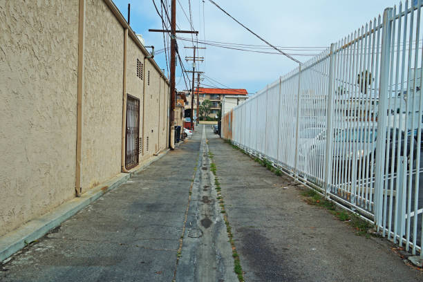 istock Los Angeles Alley 1260589117