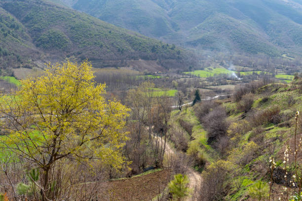 istock Wonderful rural landscape in mountains 1260591908