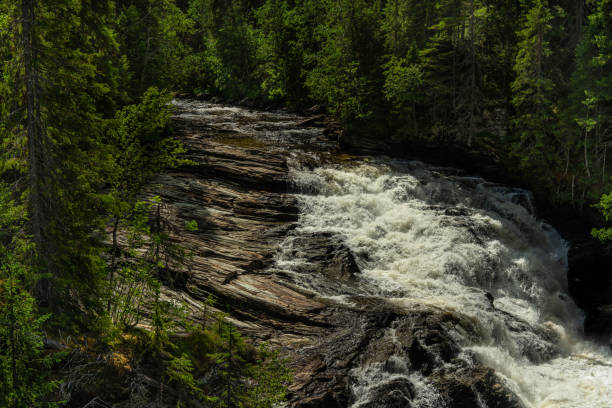 istock Flushing creek in the Swedish mountains 1260606168