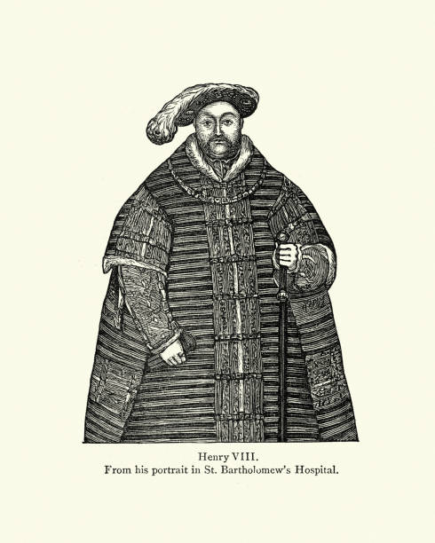 король генрих viii - henry viii tudor style king nobility stock illustrations