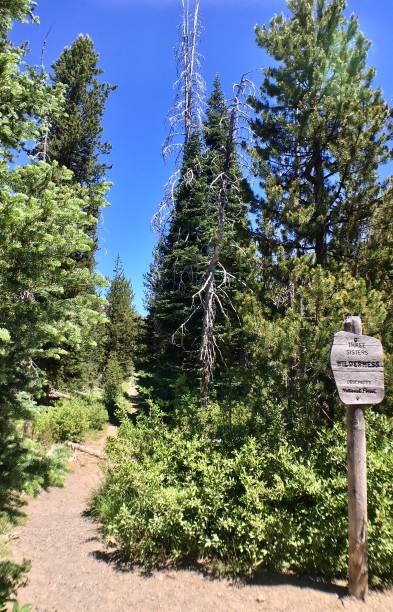 istock three sisters wilderness, deschutes national forest - log footbridge 1260649885