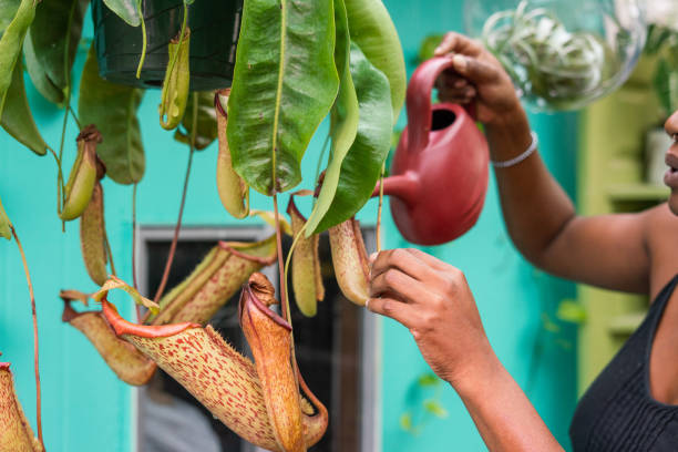Portrait of mid-adult woman taking care of her plants