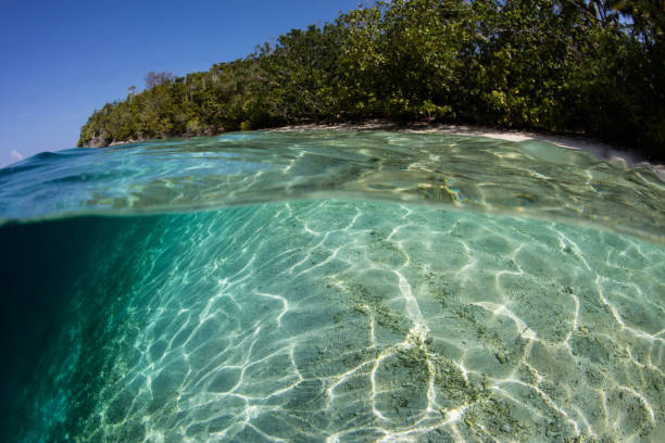 istock Sand, Sunlight, and Tropical Island in Indonesia 1260654515
