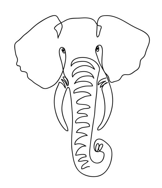 Elephant head. Continuous line drawing Elephant head. Continuous line drawing black and white logo. Vector outline illustration elephant drawings stock illustrations