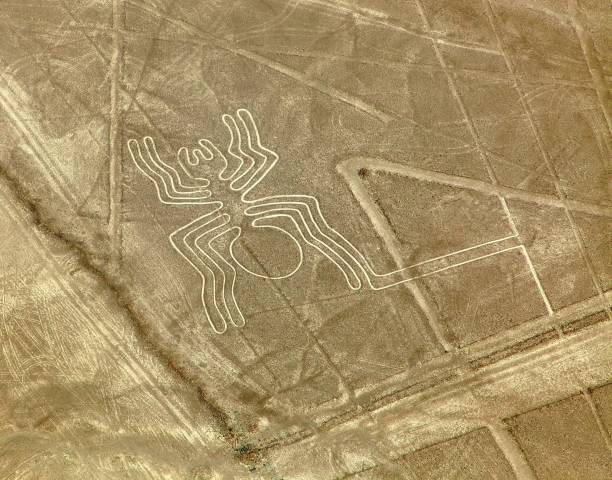 pająk geoglif, nazca tajemnicze linie i geoglify - ice texture zdjęcia i obrazy z banku zdjęć