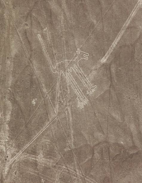 istock dog geoglyph sepia colored, Nazca or Nasca lines, Peru 1260726853