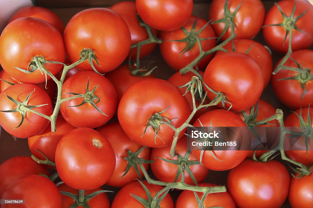 Tomates - Foto de stock de Agricultura libre de derechos