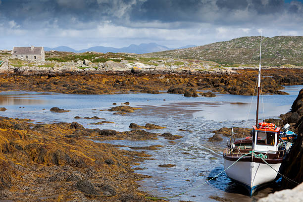 Boat and tide stock photo