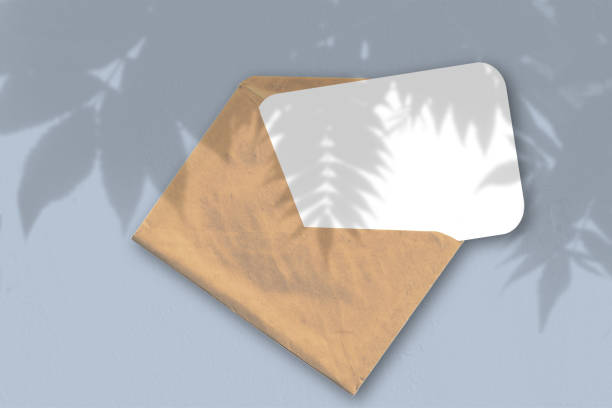 istock An envelope with a sheet of textured white paper on the blue background of the table. Natural light casts shadows from an exotic plant.. Horizontal orientation 1260792369