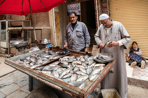 Male market that selling fresh hauling tuna fish, and the market provide the fish cutting service, Maldives.