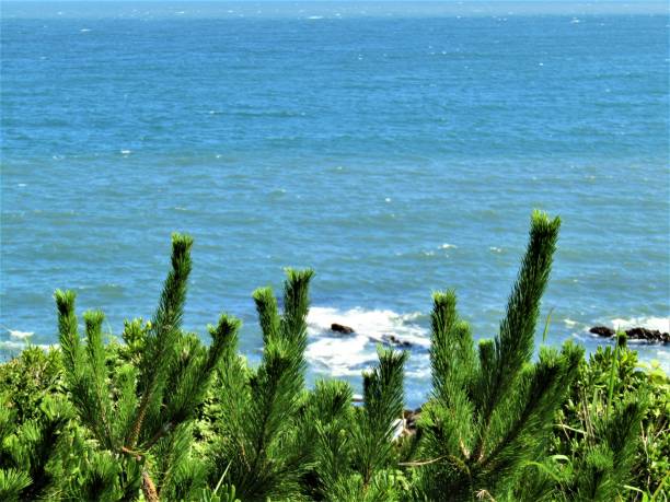 istock Japan. Nice sunny day in July. Seascape. 1260795543