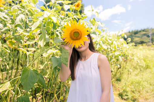 Young woman covering her face with sunflower