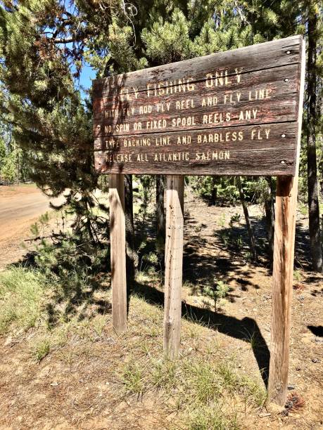 istock fly fishing only sign - devils lake 1260851975