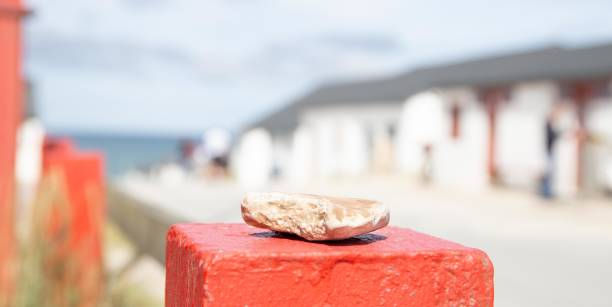 Skallingen is the nature reserve in the holiday area Ho / Blavand