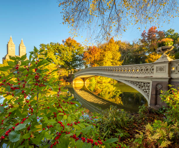 istock Bow bridge in late autumn 1260915907