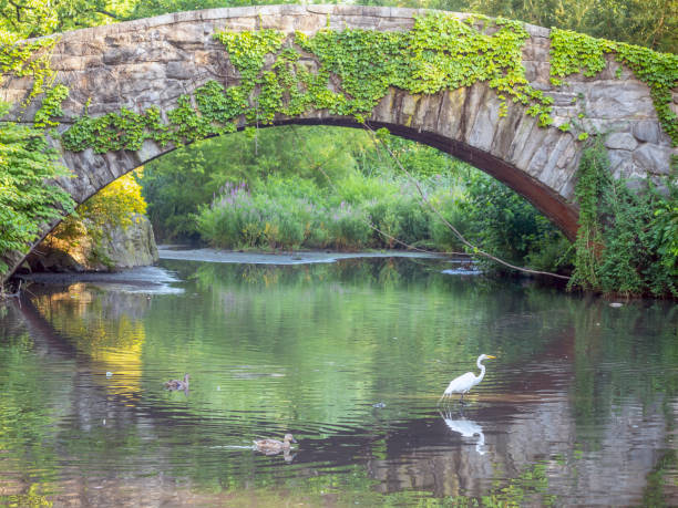 istock Gapstow Bridge in Central Park 1260916435