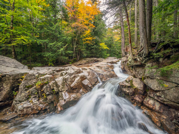 istock Autumn on the swift river 1260918538