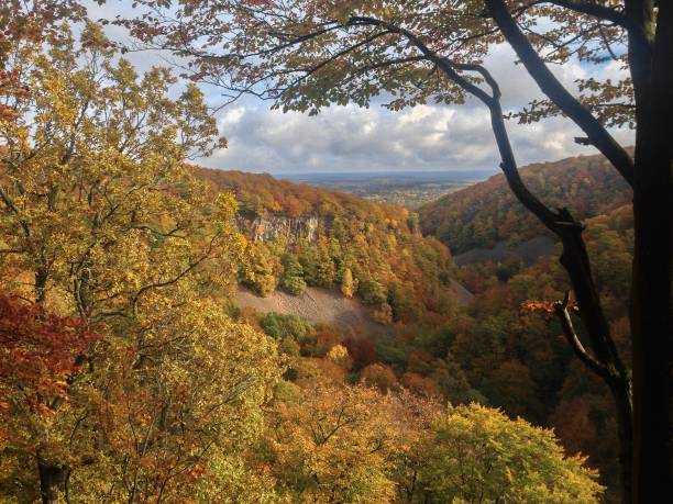 istock Colorful Scandinavian Autumn 1260925778