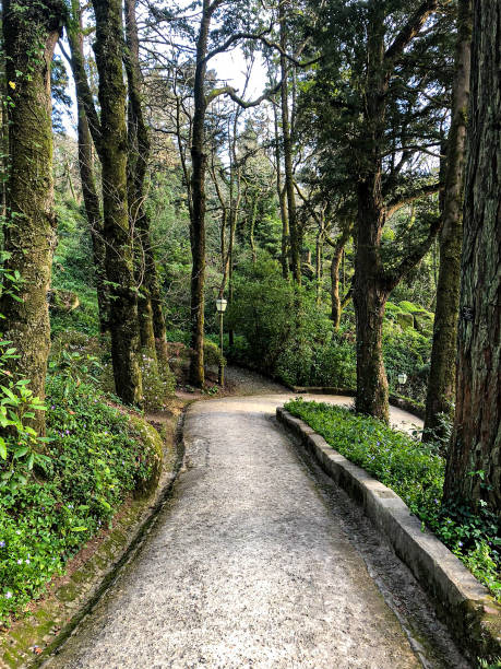 istock Pena palace garden - United Kingdom 1260940848