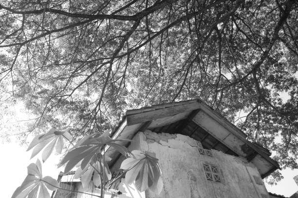old and damaged house with mystical atmosphere and horror