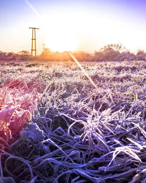 istock After a long night, the sun is reborn 1260949683