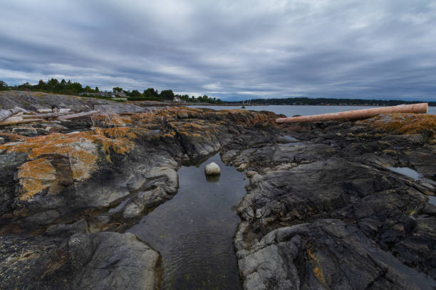 istock Vancouver Island Shoreline 1260978685