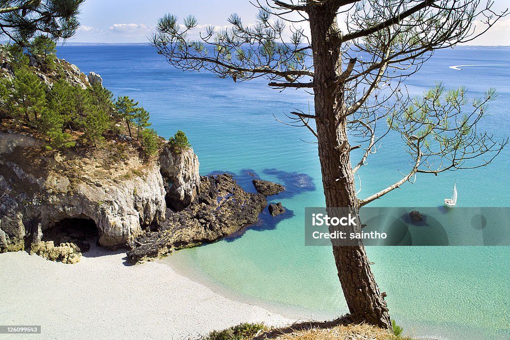 Paysage en Bretagne - Photo de Plage libre de droits