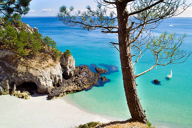 Landscape in Brittany on a sunny day