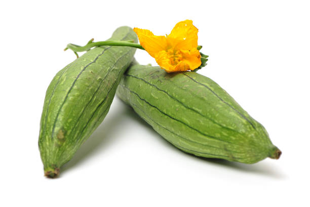fresh loofah fresh loofah on the white background slate ridge stock pictures, royalty-free photos & images