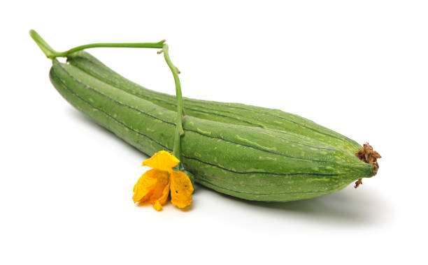 fresh loofah fresh loofah on the white background slate ridge stock pictures, royalty-free photos & images