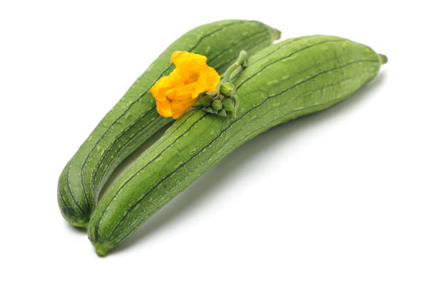 fresh loofah fresh loofah on the white background slate ridge stock pictures, royalty-free photos & images
