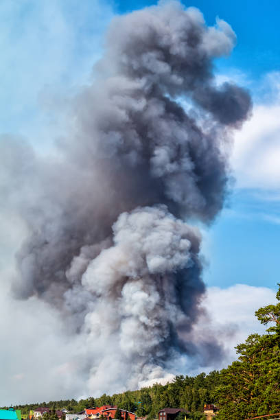 Mount Etna, fondly referred to as Etna, erupted on the morning of May 31st 2019. I took a series of photographs within 12 hours before the main eruption. I was taken aback by how cold and windy it was near the summit, whilst the sky was clear and brilliant blue making an ideal backdrop for the greys and blacks bellowing out of Etna. Mount Etna, Europe's largest active volcano, is a stratovolcano on the east coast of Sicily, Italy lying between the cities of Messina and Catania. It lies between the African and the Eurasian Plates.