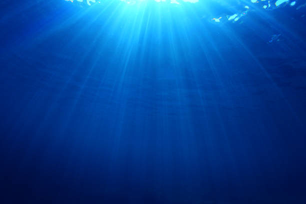 istock Underwater background photo 1261034899