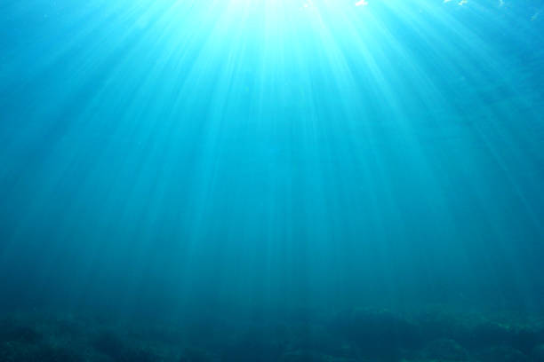istock Underwater background photo 1261035439
