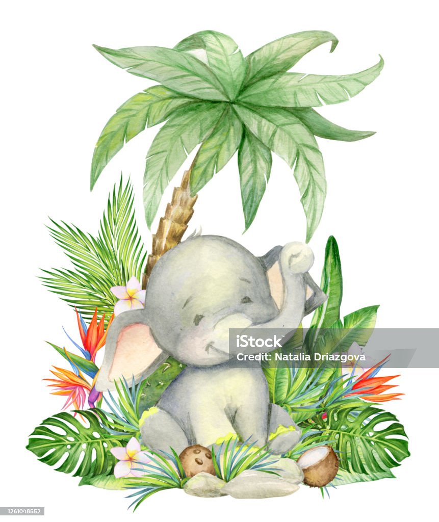 Con Voi Rất Dễ Thương Ngồi Dưới Một Cây Cọ Hình Ảnh Trẻ Em Màu ...
