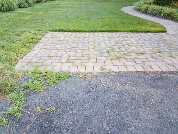 istock asphalt or pavement and stone path with grasses and cracks 1261050632