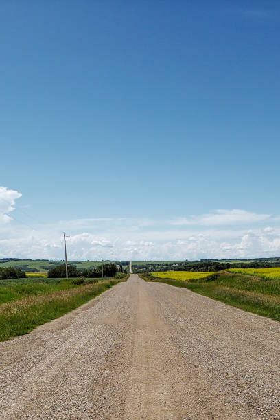 strada di campagna e vivaci campi di canola gialla nella manitoba rurale, canada - manitoba canada prairie canola foto e immagini stock