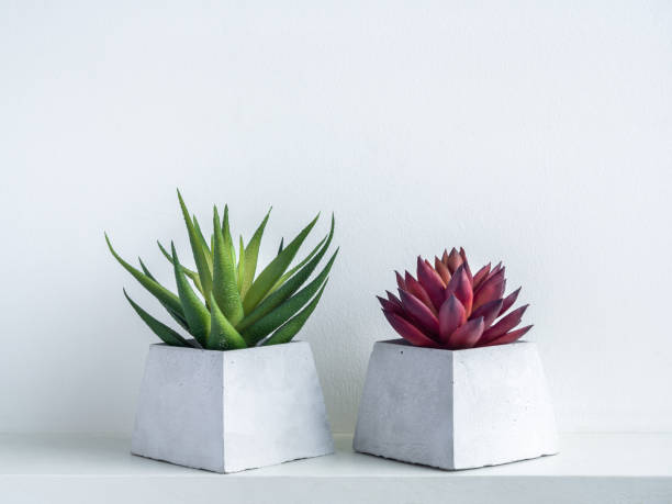 istock Concrete pot. Geometric cement planter. 1261130808