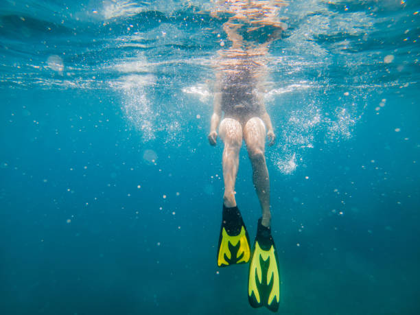 istock woman in flipper view underwater beach vacation 1261131107