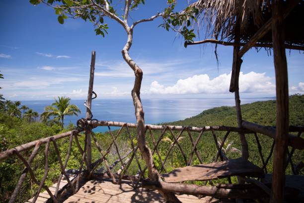 istock lookout tower in philippine native timberwork 1261145446